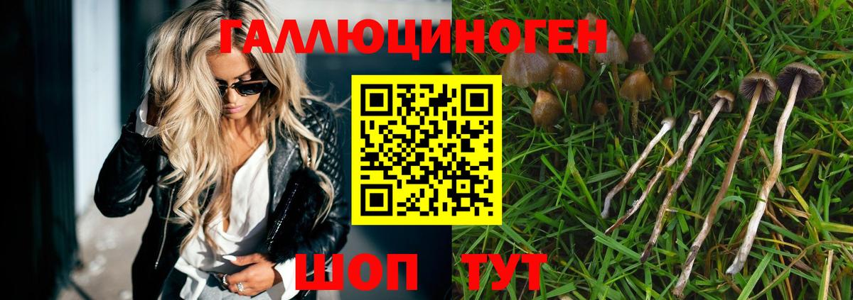 Псилоцибиновые грибы Psilocybine cubensis  Вход с VPN  Псилоцибиновые грибы GOLDEN TEACHER  Нижний Новгород 